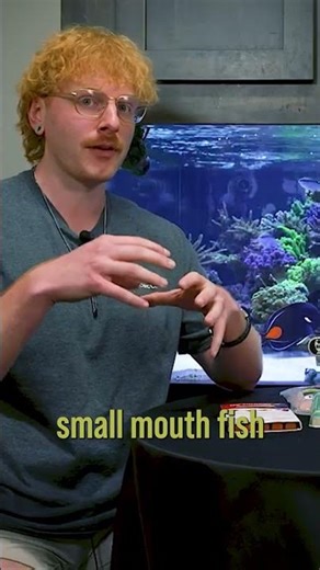 So Many Options! #brstv