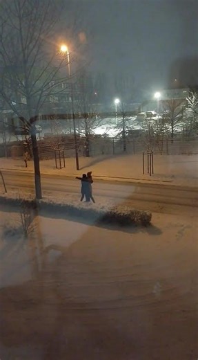 Любовь #funny #live #haveitoldyoulatelythatiloveyou #lifeisbutadream #butifyoucloseyoureyes #cat