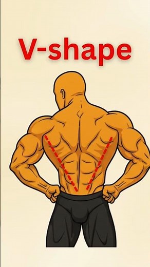 Build V-Shape with Bodyweight (No Equipment)