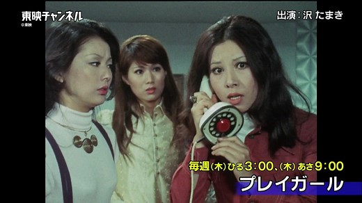 『 #プレイガール 』 1969年から5年にわたり全287回が放送され、絶大な人気を誇った伝説のセクシーアクションドラマ！ シリーズ後半の#151からいよいよ放送再開！ ＜8月27日（木）より #東映チャンネル にて放送＞ https://www.toeich.jp/program/1T0000006101/202009 | 東映株式会社