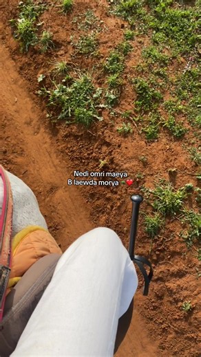Horseback Riding with Your Favorite Person in Algeria