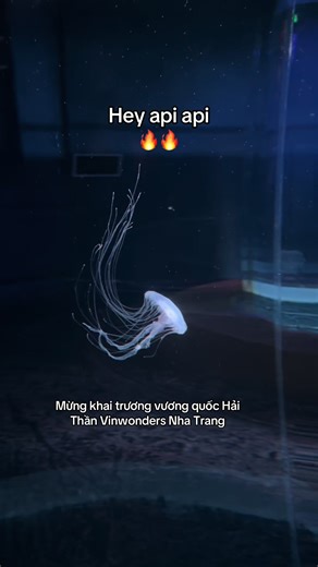 Khám Phá Vương Quốc Hải Thần VinWonders Nha Trang