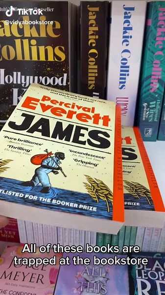 Discover Your Next Favorite Read at Vidya Bookstore in OSU, Labone, and Kumasi