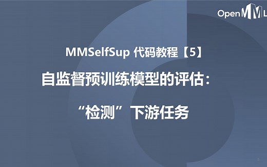 MMSelfSup 代码教程【5】自监督预训练模型的评估：“检测”下游任务
