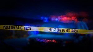 Texas police investigating gruesome mutilation of cattle