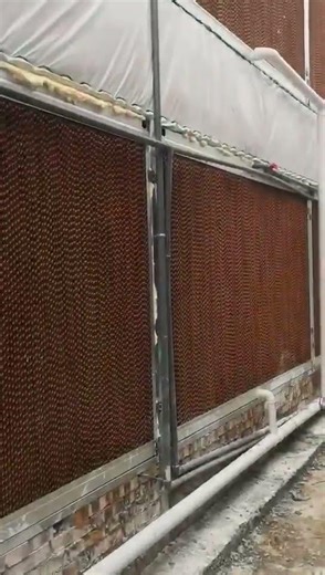 How a Cooling Pad System Works | Poultry Farm Ventilation Guide