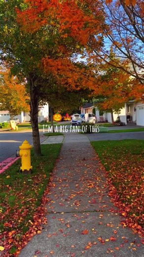 Tag someone who loves Fall #fall #fallaesthetic #fallvibes #fallvibes🍂 #halloween