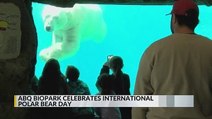 ABQ BioPark celebrates International Polar Bear Day
