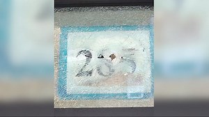 Prospect Heights residents still in ongoing legal battle with management