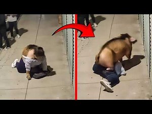 Real Moments That Feel Impossible… But Were Caught on Camera