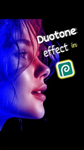 How to create a Duotune effect in photopea