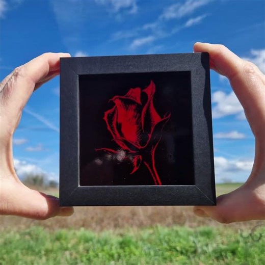 My love is like a red, red rose
