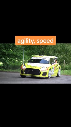 Rally Suzuki Swift Sport: Speed and Agility Showcase
