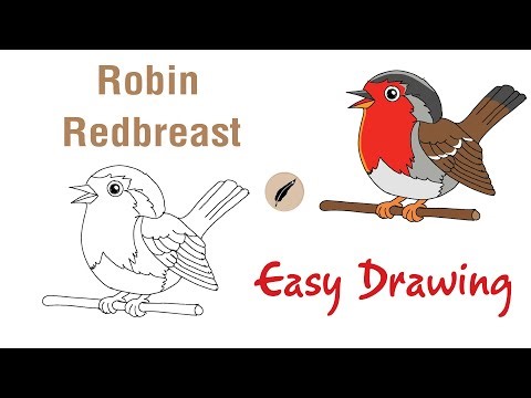 How to Draw a Robin Redbreast 🦜 Easy Step by Step Bird Drawing for Kids! #lidoartworks