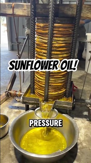 How Sunflower Oil Is Made – From Seed to Superfood!