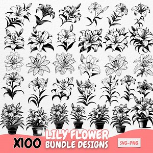 Lily Flower SVG PNG Bundle Design, Floral Line Art Illustrations for Cricut, Lily Digital Clipart, Botanical Vector, Instant Download - Etsy