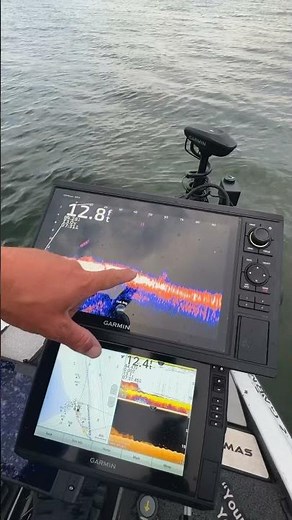 What do Bass on Live Scope look like? #bassfishing #livescope #livescopetips