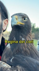 211 reactions · 5 comments | il nostro IA agent al +393928534531 watsapp! www.innovativetechnologysrl.it www.protodynamics.it Innovative technology - Unit.Link Per preventivi e risposte veloci scrivi tramite watapp al +393928534531 #InnovativeTechnology #MOV #SistemaMOV | Falcong | Facebook