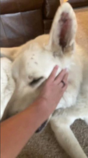 He started eating me