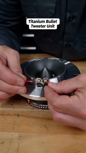 TANVSO Professional Tweeter Speaker Test | Crystal Clear High Frequency