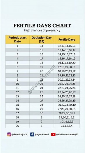 Fertile Window Chart Explained | Ovulation & Best Days to Conceive