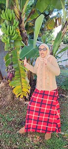 16K views · 458 reactions | Plants also need to excrete the wastes that they produce. They store wastes in their leaves in special cells called vacuoles. These wastes are shed along with the leaves as part of the natural leaf-drop process called abscission. | Yasminabhai Vallijee | Facebook