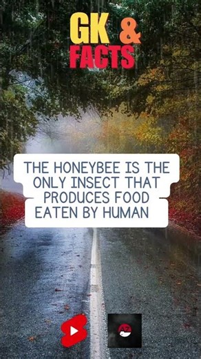 Amazing General Knowledge & Facts You Didn't Know