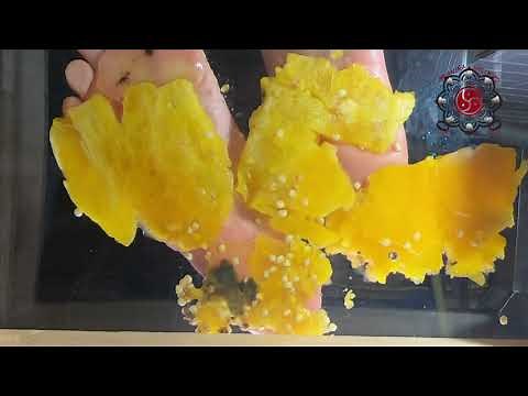 ASMR Pepper Crush Under Glass