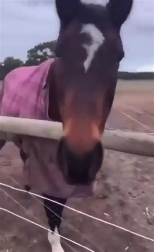 Seinfeld Memes: The Prophet Is A Tool