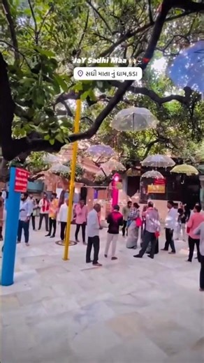 jay_sadhi_maa✨️☺️🙏‼️#sadhi #sarkar #divali #trindingvideo #stutus #shortvideo #youtubeshorts #song