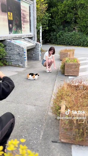 聖菜の無加工写真集お渡し会のご案内