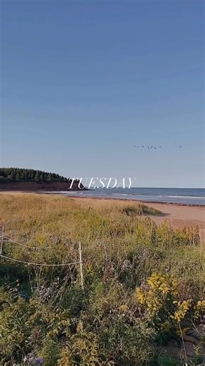 17K views · 356 reactions | This weeks forecast: Beach ️ | Welcome PEI | Facebook