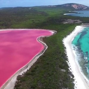 Pink Lake in Australia 🇦🇺 Video by instagram.com/jaimenhudson 😍 | Travel Pilots