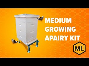 Medium Growing Apiary Kit by Mann Lake – Best for Beginners