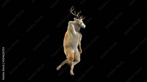 Deer Dancing CG fur 3d rendering animal realistic CGI VFX Animation Loop composition 3d mapping cartoon, Included in the end of the clip with Alpha matte. Stock Video