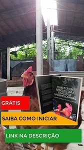 11 reactions | DESCUBRA os caminhos de como iniciar umnegócio do ZERO...