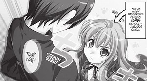 The Best 21 Toradora Manga Volumes
