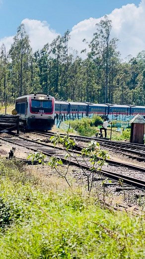 5.1K views · 116 reactions | පට්ටිපොල  #viralvideochallenge #srilankarailways #trains #UVA #srilanka #UVAProvince #Pattipola | Uva Province - ඌව පලාත | Facebook