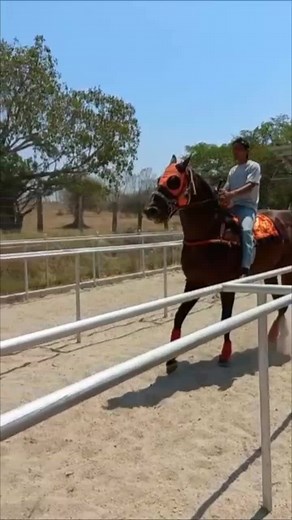 Videos de Oscar Barrera6372 (@oscarbarrera6372) con “El Perron Merino - Grupo Laberinto”