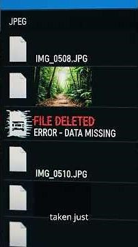 🚨 99 Photos. 1 DELETED. The Panama Jungle Camera Secret.