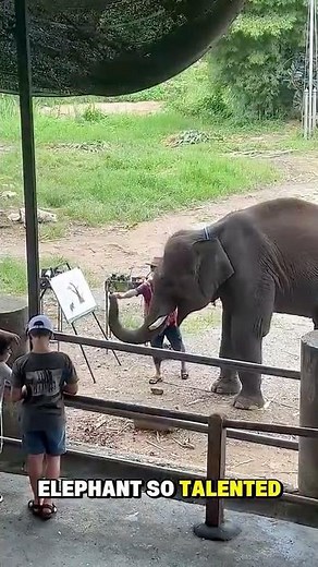 The Elephant That Became A Millionaire