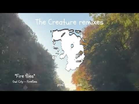 Fire flies (Owl City - Fireflies Remix)