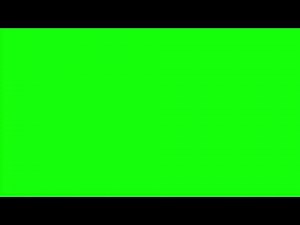 【300秒】合成用グリーンバックgreen back（フリー素材）