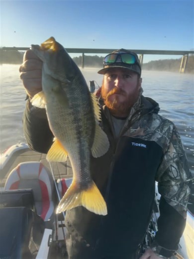 @Savannahmadaris (William) and myself put on a clinic in #bama had a great day. Wish we didn’t have to work. Lol #fishinglife #fypage #fishingaddict #bassfishing @Skeeter Boats @Shimano Fishing @Phenix Rods @LS Lures @Garmin Official @Picasso Lures @St. Croix Rod @Kentucky Lake Thread Co @jhart @Kyle Stewart @jdennis05 @Connor_B