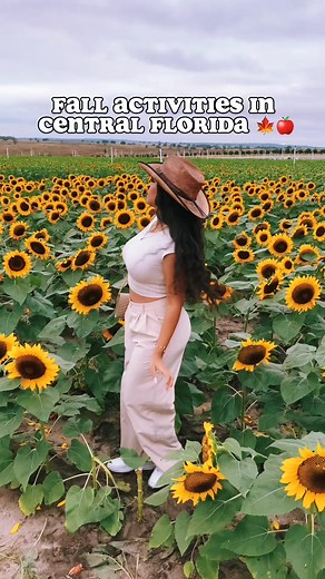 412K views · 5.8K reactions |  Fall in full swing at Southern Hills...