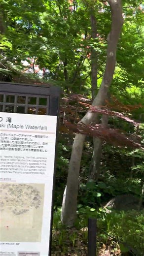 もみじの滝（芝公園）の設計は、日本人初のランドスケープデザイナーである長岡安平（ながおかやすへい）が1905年（明治38年）に手掛け、翌1906年（明治39年）に竣工しました。