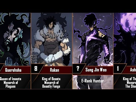 Solo Leveling Strongest Characters