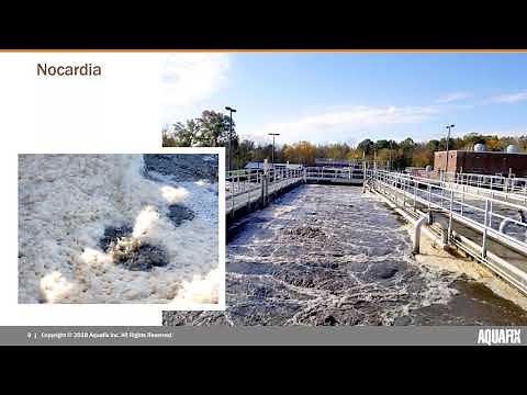 Webinar: Eliminating Foam Causing Filaments