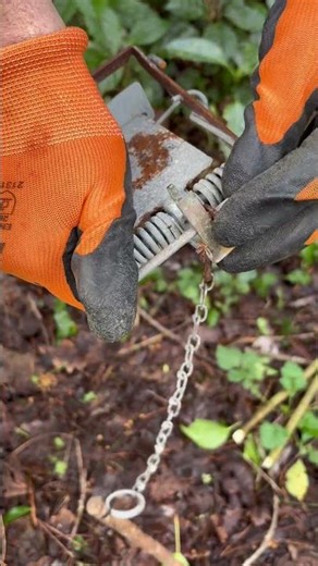 Mk 4 Fenn trap. Use and operation. #asmr #trapping #pestcontrol #rattrap #iphone16 #iphone16camera