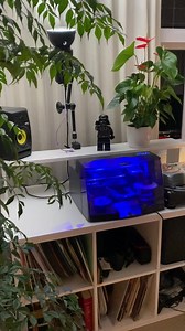 5K views · 227 reactions | A behind the scenes video of your mixtapes being printed and a tutorial on how to use them. Cop your CD here - www.djjordanlee.com | Jordan Lee | Facebook